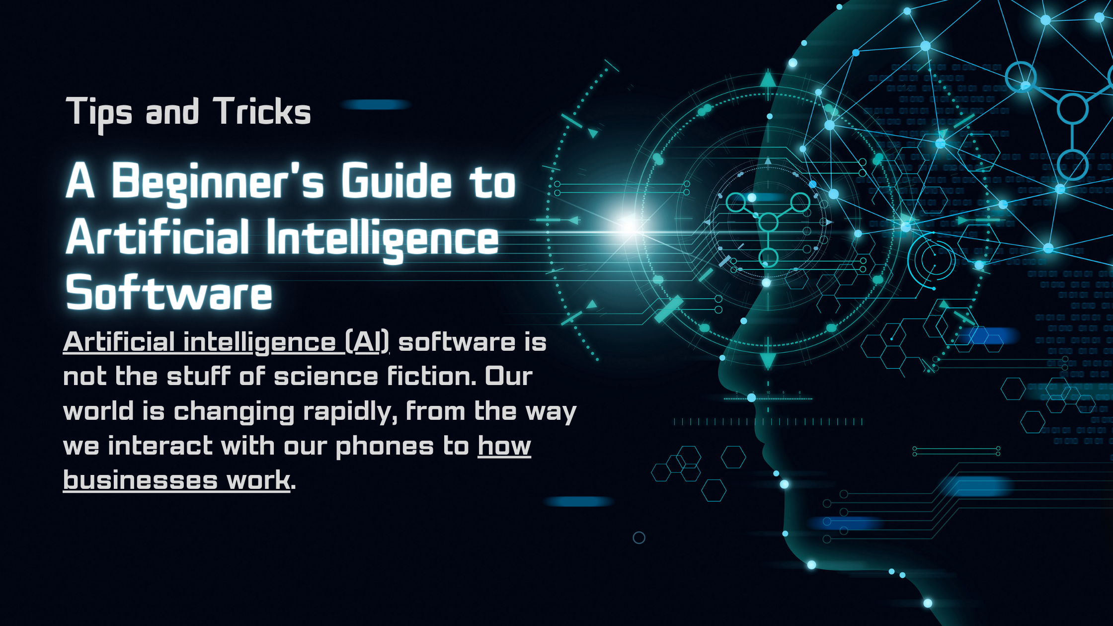 Artificial Intelligence Software